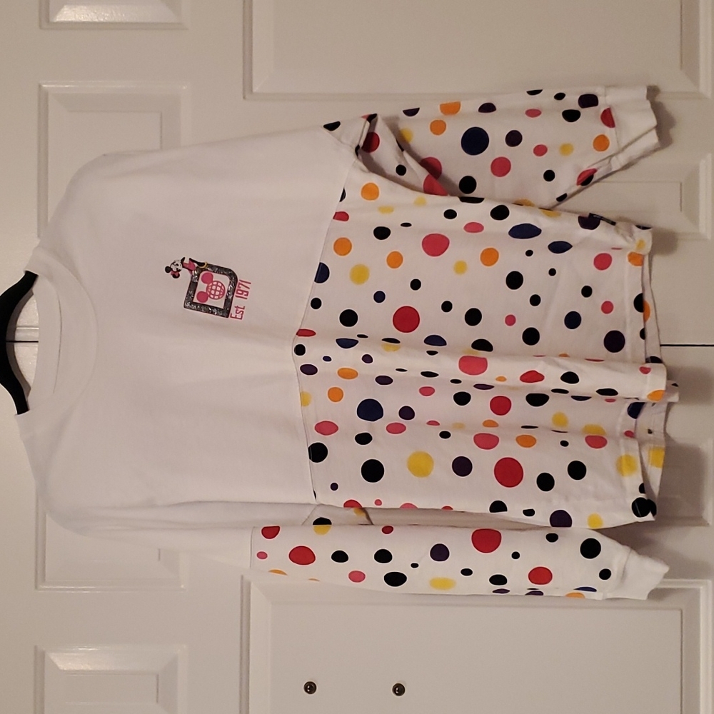 WDW 2019 Birthday Celebration Spirit Jersey, M